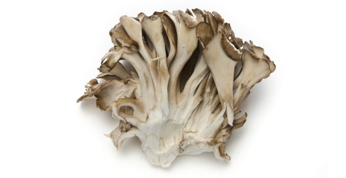 maitake
