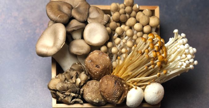 many-kinds-of-mushrooms-assorted