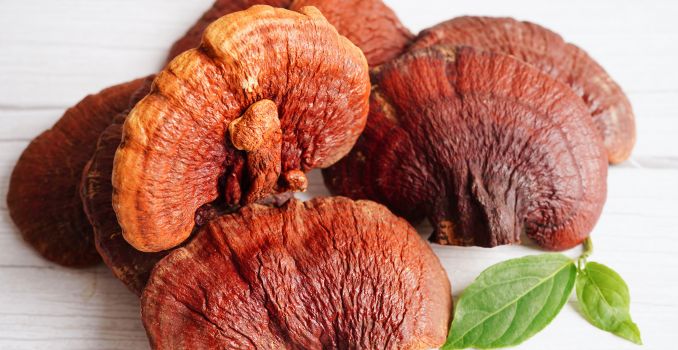 reishi-mushroom-with-capsules-organic-natural-healthy-food